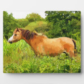 WELSH PONY FOTOPLAAT (Voorkant)