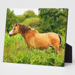 WELSH PONY FOTOPLAAT