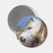 Welsh Pony Magneet (Voorkant / Achterkant)