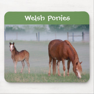 Welsh Pony Muismat