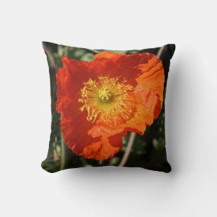 Welsh Poppy (Oranje) Kussen