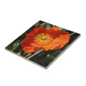 Welsh Poppy (Oranje) Tegeltje (Zijkant)