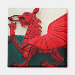 Welsh Red Dragon Magnet Magneet