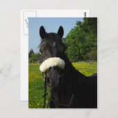 Welsh Sectie D Briefkaart (Voorkant / Achterkant)