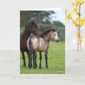 Welsh Section D Mare and Foal Standing Kaart (Gele Bloem)