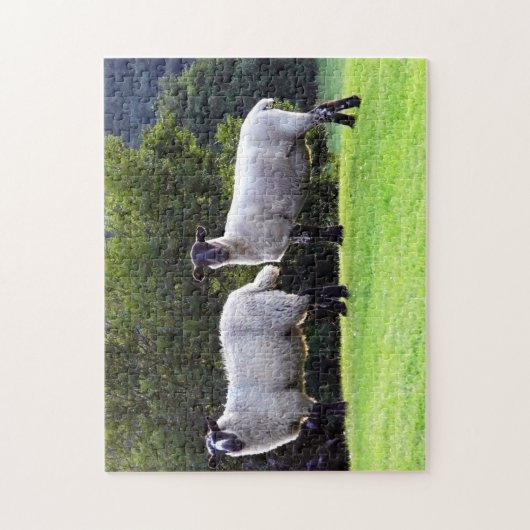 Welsh Sheep Legpuzzel (Verticaal)