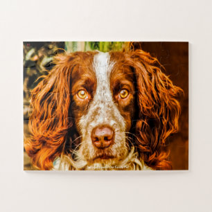 Welsh Springer Our Family Pet Legpuzzel