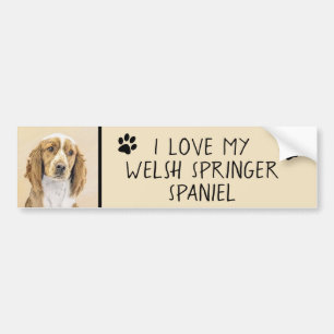 Welsh Springer Spaniel Painting - Original Dog Art Bumpersticker