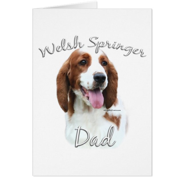 Welsh Springer Spaniel Papa 2 (Devant)