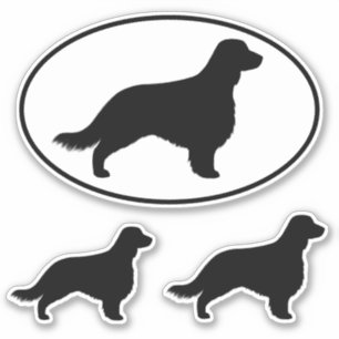 Welsh Springer Spaniel Silhouetten met Lange Staar Sticker