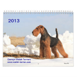 Welsh Terrier 2013 Agenda van Darwyn Kalender