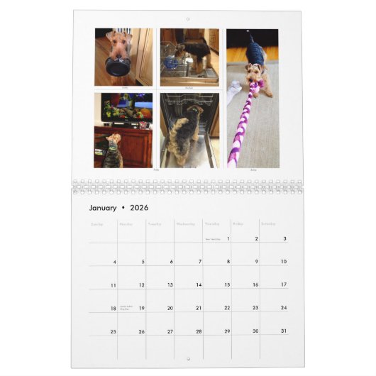 Welsh Terrier 2015 Agenda door SBWT Kalender (Jan 2026)