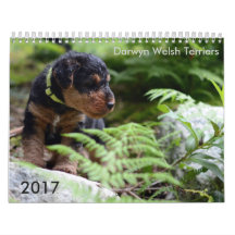 Welsh Terrier 2017 Agenda van Darwyn