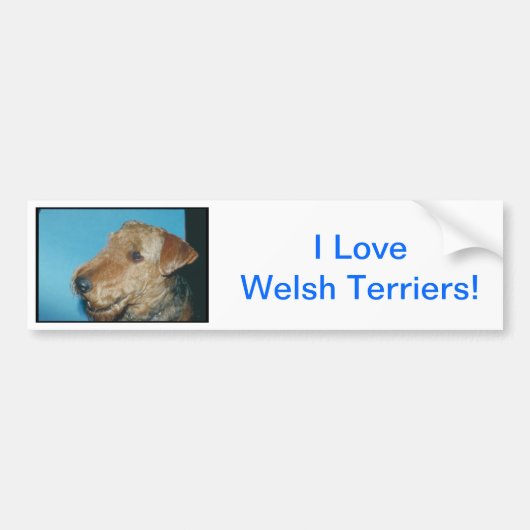 Welsh Terrier Bumpersticker (Voorkant)