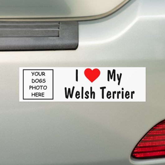 Welsh Terrier Bumpersticker (Op auto)