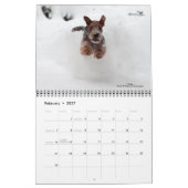 Welsh Terrier Calendar Kalender (Feb 2027)