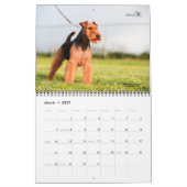 Welsh Terrier Calendar Kalender (Mar 2027)