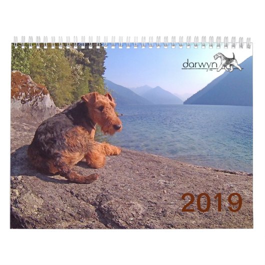 Welsh Terrier Calendar Kalender (Hoes)