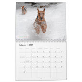 Welsh Terrier Calendar Kalender (Feb 2027)