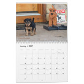 Welsh Terrier Calendar Kalender (Jan 2027)