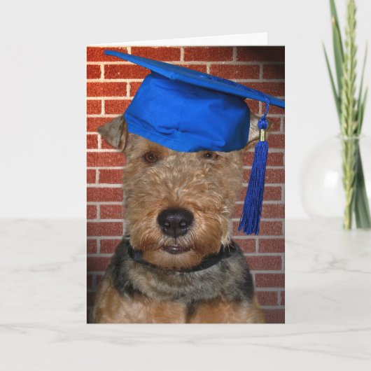 Welsh Terrier Dog afstuderen Kaart (Voorkant)