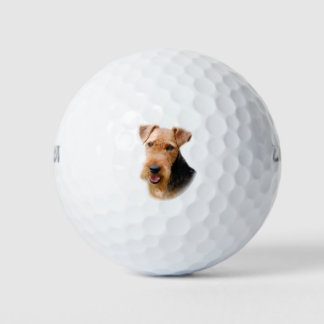 Welsh Terrier Golfballen