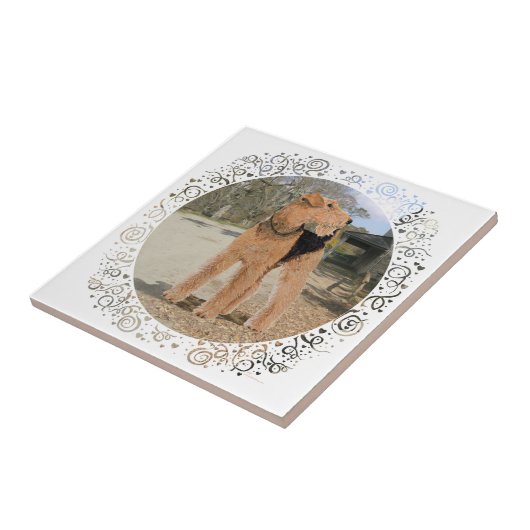 Welsh Terrier in de Stable Yard Tegeltje (Zijkant)