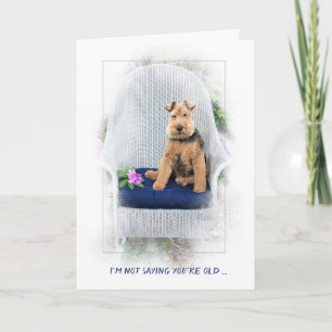 Welsh Terrier in stoel oud worden Kaart