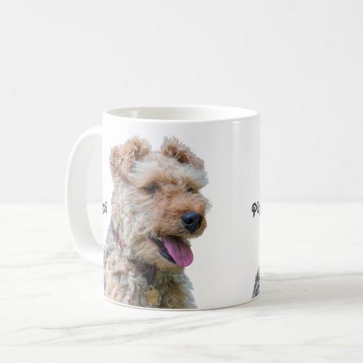 Welsh Terrier Mok (Voorkant links)