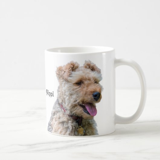 Welsh Terrier Mok (Rechts)