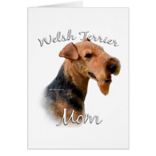 Welsh Terrier Mom 2