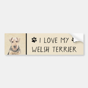 Welsh Terrier Painting - Cute Original Dog Art Bumpersticker