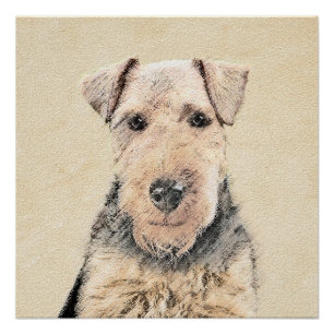 Welsh Terrier Painting - Cute Original Dog Art Perfect Poster
