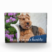 Welsh Terrier Pet Memorial Fotoblokken (Voorkant)