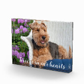 Welsh Terrier Pet Memorial Fotoblokken (Rechts)