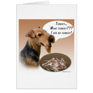 Welsh Terrier Turkije