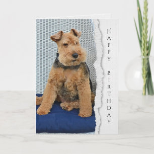 Welsh Terrier-verjaardagskaart Kaart