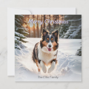 Welshe Collie Hond Sneeuw Aquarel Prettig Kerstfee Feestdagenkaart