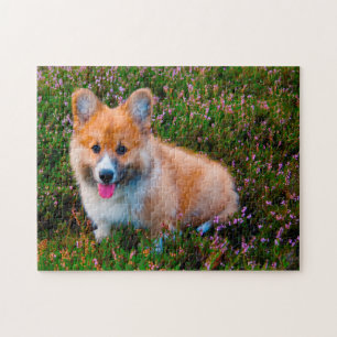 Welshe Corgi Honden Legpuzzels. Legpuzzel