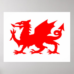 Welshe Drakenvlag, Wales Drakenvlag, Engeland Poster