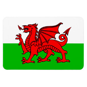 Welshe Rode Draak Wales Vlag Magneet