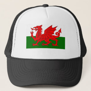 welshe vlag trucker pet