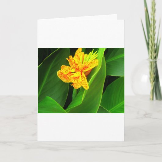 Welterusten !. kaart (Voorkant)