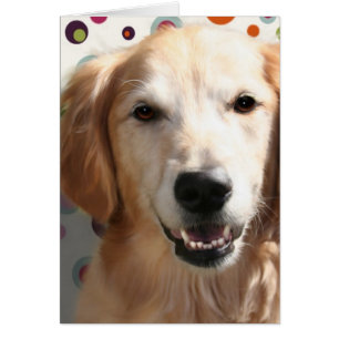 Wendy, le Golden Retriever