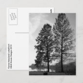 Wenen Maryland waterfront Briefkaart (Voorkant / Achterkant)