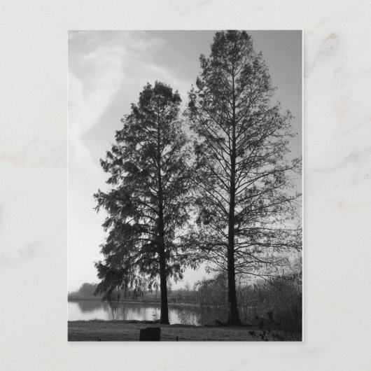 Wenen Maryland waterfront Briefkaart (Voorkant)