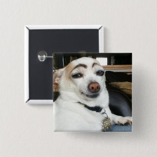 Wenkbrauw Hond Meme Pin Button