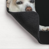 Wenkbrauwhond meme Muismat (Hoek)