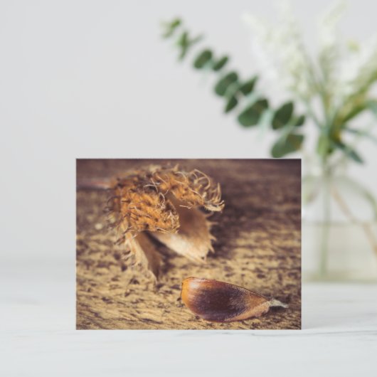 Wenn ein Samen zum Baum wird ... Briefkaart (Staand voorkant)