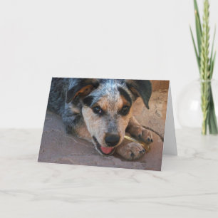 Wens je goed Cattle Dog Puppy - Western Kaart